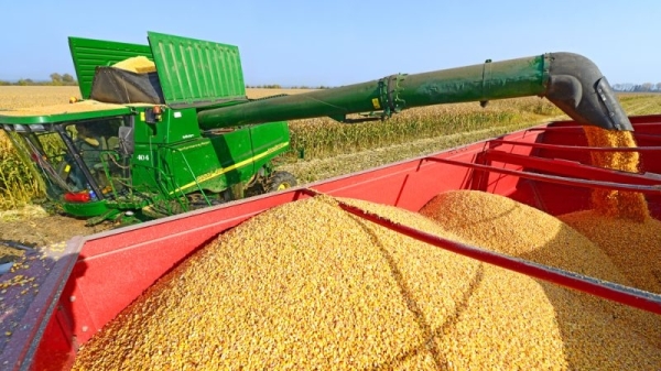 Bulgarian farmers to pressure government to ban Ukrainian grain imports