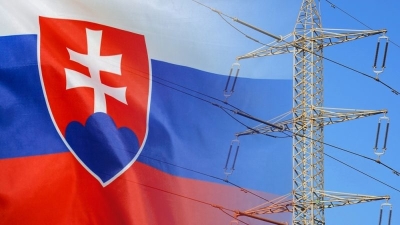 Slovak power plant sues state over historic loss