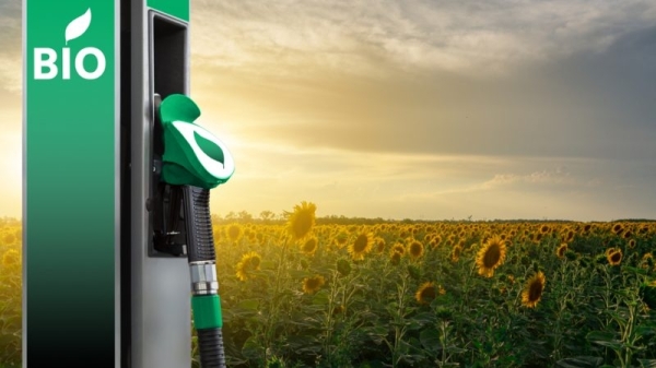 Will biofuels have a role in EU transport decarbonisation?