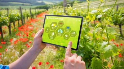 Next-generation farming, sowing the seeds of data-driven agritech success