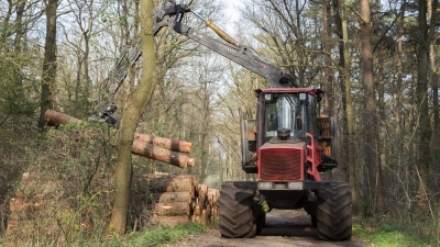 Netherlands tops EU importers list for third country products linked to deforestation